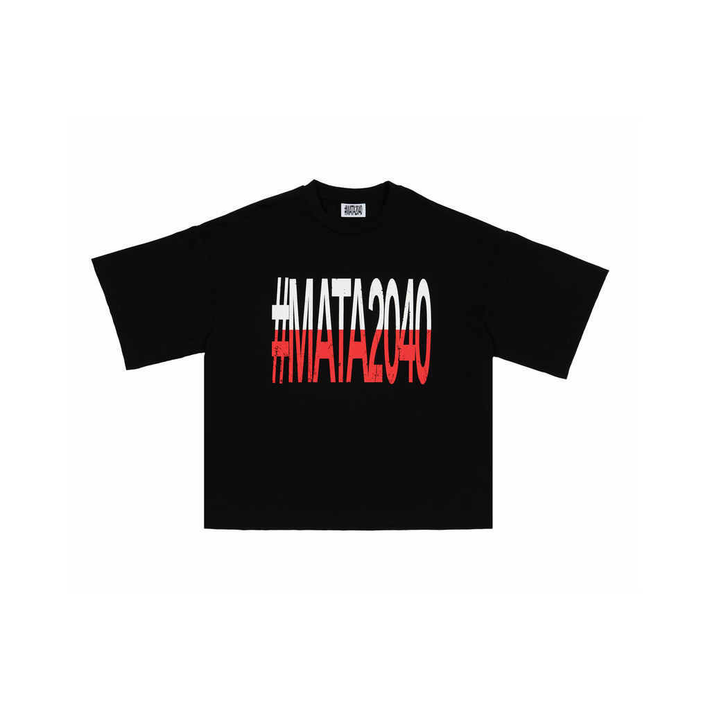 t33shirt #2040 polska (black)
