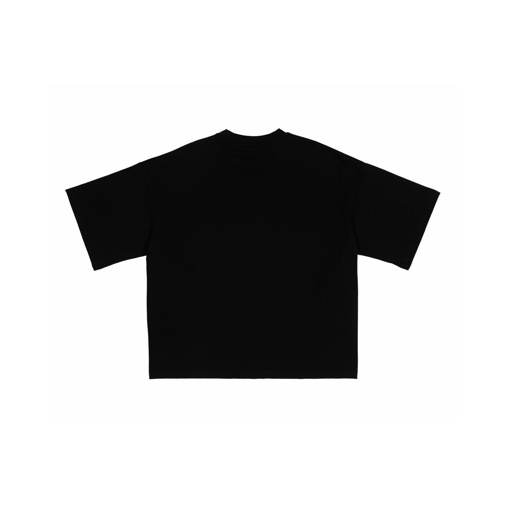 t33shirt #2040 polska (black)