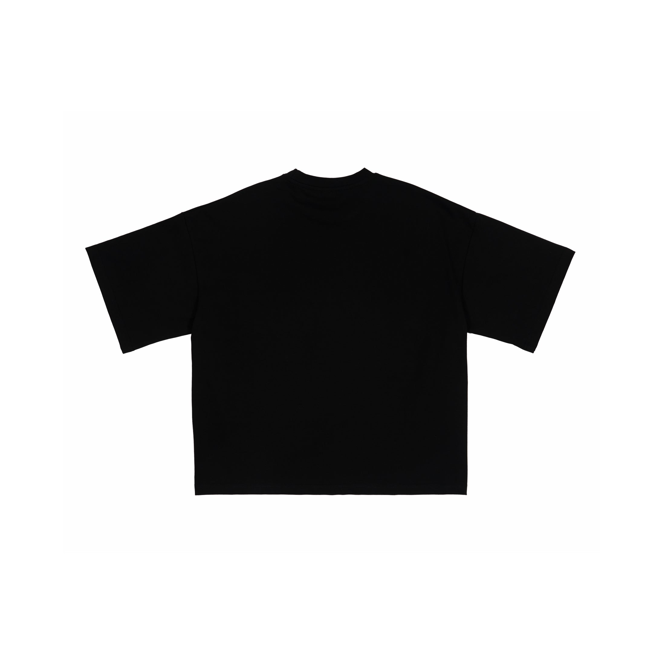 t33shirt #2040 polska (black)